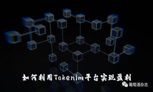 如何利用Tokenim平台实现盈利