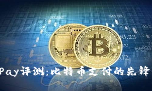 BitPay评测：比特币支付的先锋平台