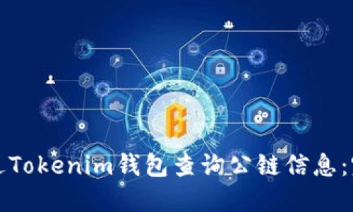 如何通过Tokenim钱包查询公链信息：完整指南